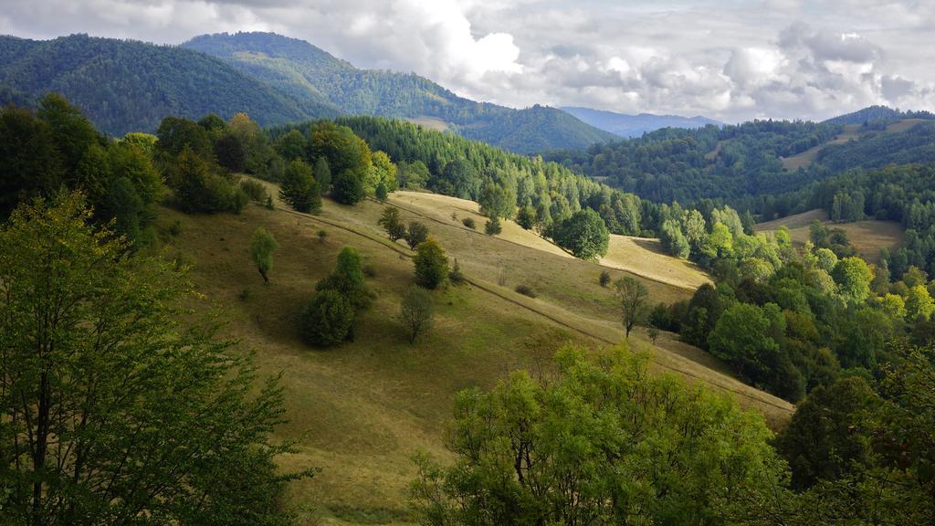 Woodenhouse Maramures Вишеу-де-Сус Экстерьер фото