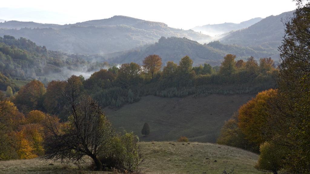 Woodenhouse Maramures Вишеу-де-Сус Экстерьер фото