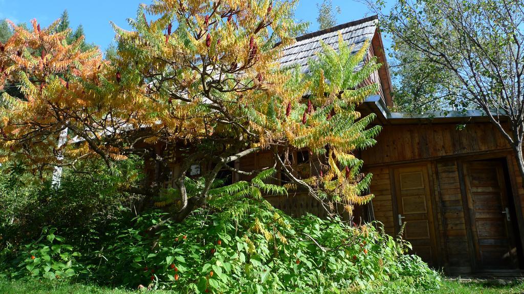 Woodenhouse Maramures Вишеу-де-Сус Экстерьер фото
