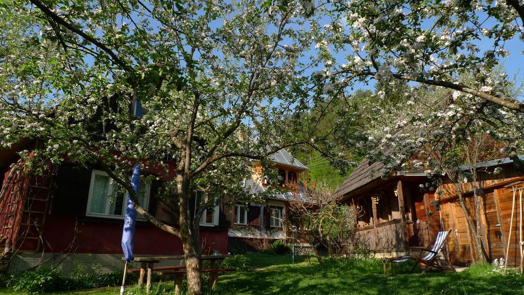 Woodenhouse Maramures Вишеу-де-Сус Экстерьер фото